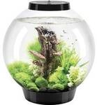 Oase 72005 biOrb CLASSIC 30 LED schwarz Aquarium 30 l mit LED-Beleuchtung