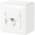Metz Connect Netzwerkdose Aufputz CAT 6a 1 Port Reinwei&szlig; 130B11D10002-E