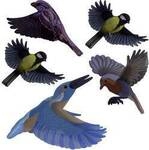 Gardigo Stickers Native Birds Fensteraufkleber Vogelbild Funktionsart Abschreckung 1