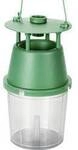 Gardigo 66680INT Buchsbaumz&uuml;nsler-Falle Lockstoff (&Oslash; x H) 11 cm x 22 cm Gr&uuml;n,