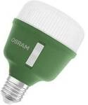 OSRAM HOMELIGHTING 4058075845800 Pflanzenlampe E27 20 W 1 St.