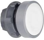 Schneider Electric ZB5AACUST02 ZB5AACUST02 Drucktaster-Frontelement 1 St.