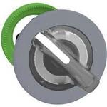 Schneider Electric ZB5FKCUST02 Leuchtdrucktaster-Frontelement 1 St.