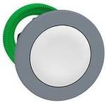 Schneider Electric ZB5FH01C0 Drucktaster-Frontelement 1 St.