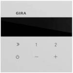 GIRA Unterputz-Radio Grau 232076 1 St.