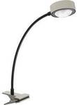 LightMe LM85854 LM85854 LED-Klemmleuchte LED 5 W Titan