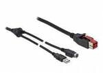 Delock USB-Stromkabel PoweredUSB 24V Stecker, USB-A Stecker, Hosiden Mini-DIN...