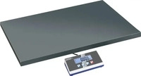 KERN EOE 150K50XL, Kern EOE150K50XL Plattformwaage EOE 150K50XL W&auml;gebereich (max.)