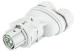Wieland Electric 96.021.4253.0 Steckverbinder