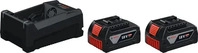 BOSCH PROFESSIONAL 1.600.A03.CH1, Bosch Professional 1.600.A03.CH1 2xGBA18V 5.0Ah;