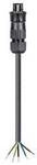 Wieland Electric 96.453.3034.1 Anschlussleitung Schwarz 3 m