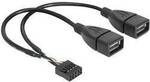 Delock USB-Kabel USB 2.0 Pfostenstecker 8pol., USB-A Buchse 0.20 m Schwarz