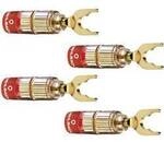 Oehlbach 3023 Lautsprecher-Steckverbinder Stecker, gerade Gold 4 St.