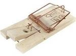 Swissinno Holz-Classic Rattenfalle 1 St. 1 590 001