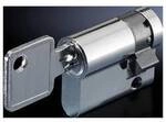 Rittal CS 9785.042 Verschlusseinsatz 2 St.
