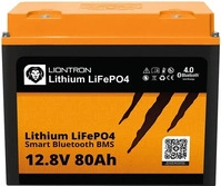 LIONTRON LISMART1280LX, Liontron LISMART1280LX Spezial-Akku LiFePo-Block LiFePO 4