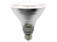 LightMe LED-Pflanzenlampe LM85322 138 mm 230 V E27 12 W Reflektor 1 St.