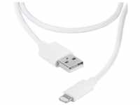 Vivanco USB-Kabel USB 2.0 USB-A Stecker, Apple Lightning Stecker 1.20 m Weiß 36299