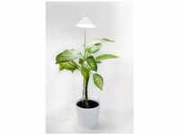 Venso LED-Pflanzenlampe Wachstum SUNLiTE XL 25 W Weiß 230 V LED fest eingebaut 25 W