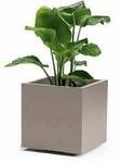 euro3plast Greener KEBE 3157.G9 Pflanzkasten Kunststoff Taupe