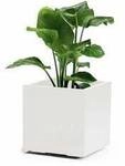 euro3plast Greener KEBE 3157.03 Pflanzkasten Kunststoff Wei&szlig;