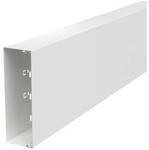 OBO Bettermann 6248667 Kabelkanal (L x B x H) 2000 x 200 x 60 mm 1 St. Reinwei&szlig;