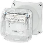 Hensel 62000007 Abzweigkasten (L x B x H) 130 x 130 x 77 mm Grau IP66 1 St.