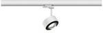 Paulmann ProRail3 Spot Aldan 9W Whi 3000K 3Ph dim Systemleuchte (Basis) ProRail3 0.00