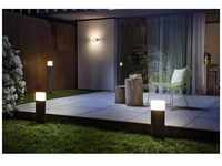 LEDVANCE ENDURA® STYLE ELLIPSE L 4058075205079 LED-Außenwandleuchte LED 13 W