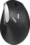 RAPOO R-13531, Rapoo EV250 Maus Kabellos Schwarz 3 Tasten 1600 dpi Ergonomisch