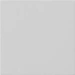 GIRA Wippe Grau 5372015 1 St.