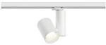 Paulmann ProRail3 Zeuz 33W 60&deg; 3000K W triac Systemleuchte (Basis) ProRail3 33...