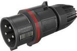 Walther Werke FW211506SK FW211506SK CEE Stecker 16 A 5polig 400 V 1 St.