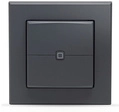 Homematic IP Smart Home Wandtaster &ndash; 2-fach, anthrazit, HmIP-WRC2-A-2