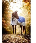 Horseware Rambo Autumn Series Weidedecke mit Liner (0 g / 100 g)