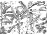 Komar Fototapete Vlies Croissances Monochrome 400 x 280 cm