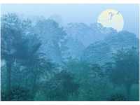 Komar Fototapete Vlies Deep in the Jungle 400 x 280 cm