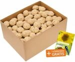 Meisenkn&ouml;del (100 St&uuml;ck) Fettfutter f&uuml;r Wildv&ouml;gel ohne Netz inkl. Samenmischung