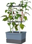 Gusta Garden Anzuchtgef&auml;&szlig; Charly Chili 10 L blau