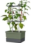 Gusta Garden Anzuchtsgef&auml;&szlig; Charly Chili 10 L dunkelgr&uuml;n
