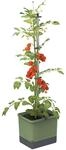 Gusta Garden Anzuchtsgef&auml;&szlig; Tom Tomato 20 L dunkelgr&uuml;n