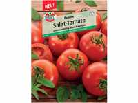 Sperli Salattomate Paoline F1-Hybride (Solanum lycopersicum)