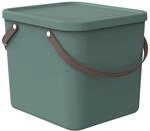 Rotho Multibox Albula 40, Mistletoe Green