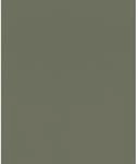 Rasch Vliestapete African Queen III Leder Olivgr&uuml;n 10,05 x 0,53 m