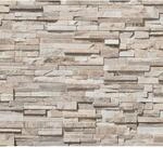 AS-Creation Vliestapete Steinoptik Teilweise Gl&auml;nz. Glatt Beige Braun