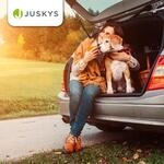 Juskys Faltbare Hundetransportbox Lassie M Beige