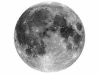 Komar Vlies Fototapete Moon Selbstklebend Ø 125 cm