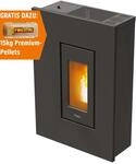 PEGASO Pelletofen Madison Stahl Anthrazit 5,3 kW mit Automatik