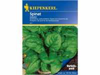 Kiepenkerl Spinat Matador Vorteilspack groß (Spinacia oleracea)