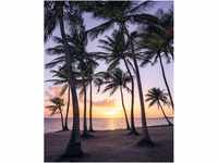Komar Fototapete Vlies Palmtrees on Beach 200 x 250 cm